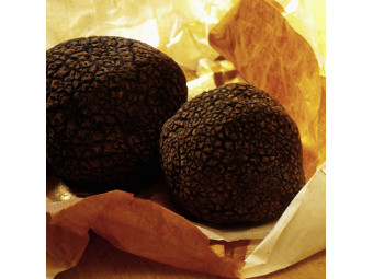 Fresh Truffles from the Périgord of Exception